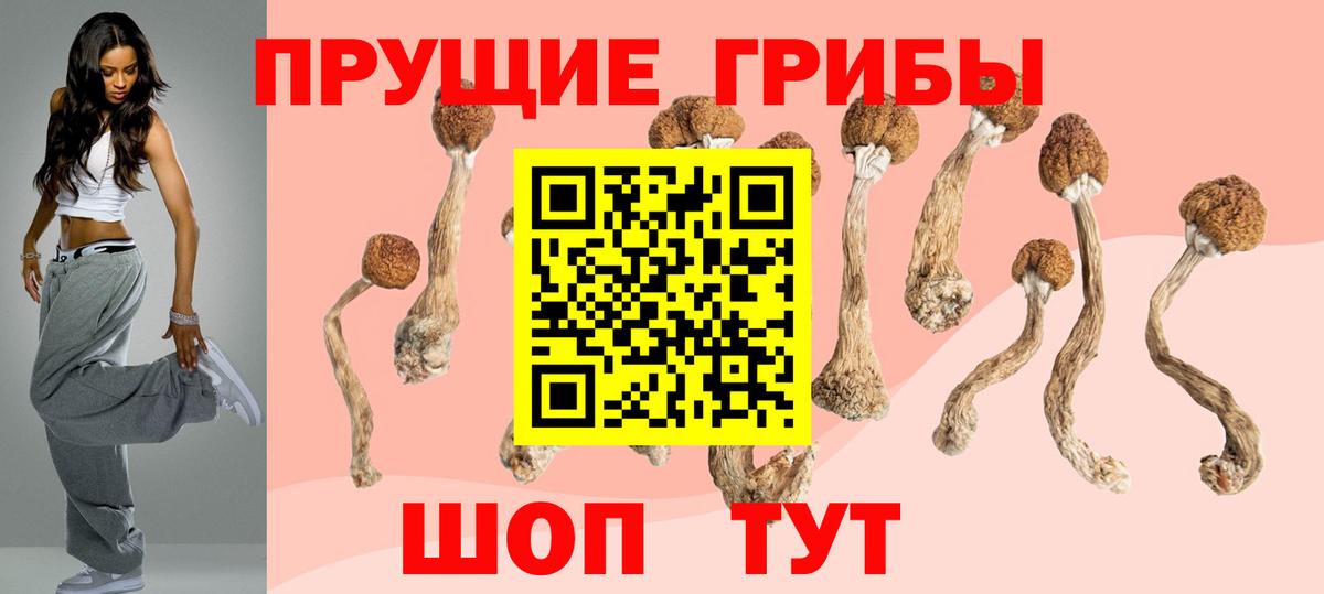 Псилоцибиновые грибы Magic Shrooms Великий Новгород