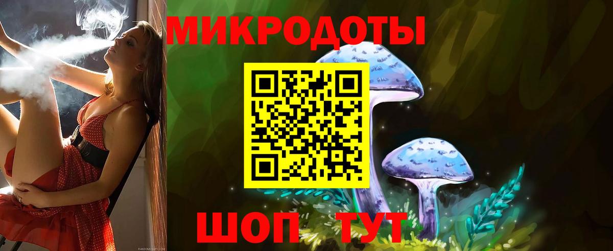 Великий Новгород  Псилоцибиновые грибы мухоморы  Вход с VPN 