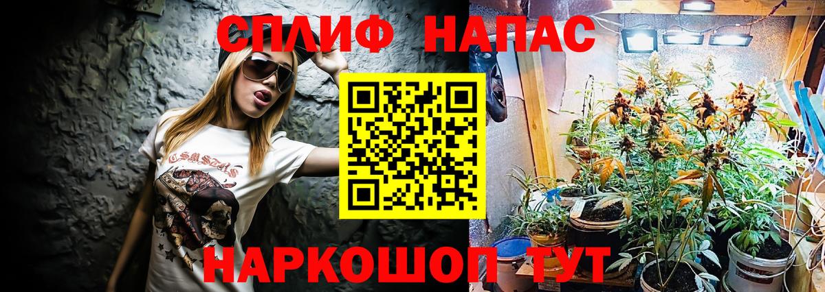 Бошки марихуана сатива Великий Новгород